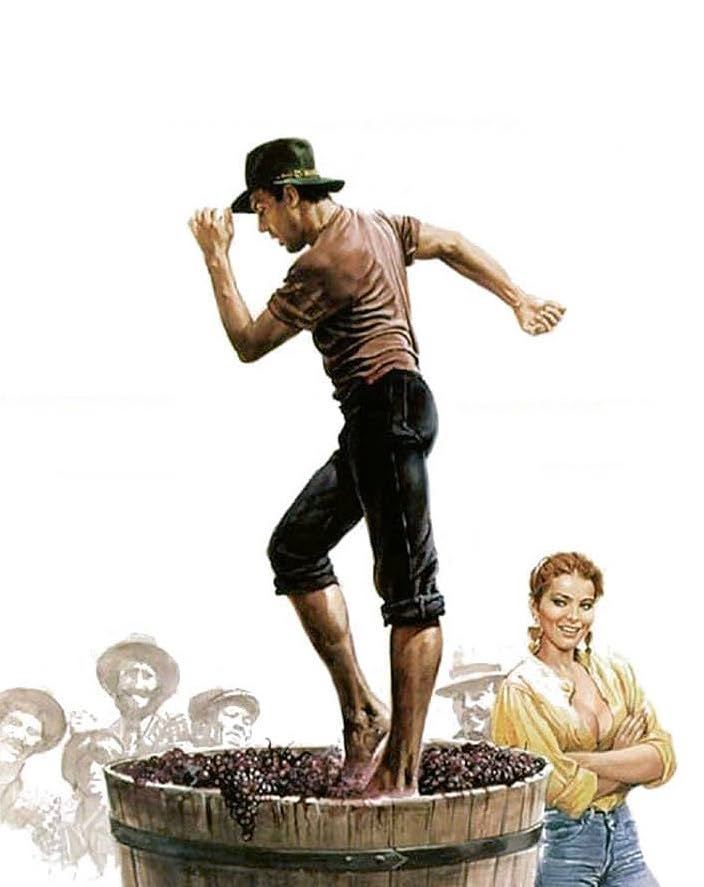 Vindima is the festival of the grape harvest
